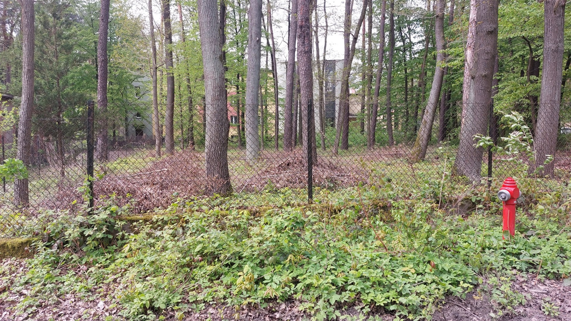 Działka na sprzedaż